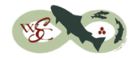 Wild Steelhead Coalition